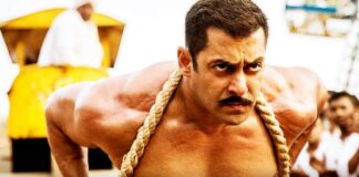 10 Years Of Sultan: The Salman Khan Blockbuster That Balanced Stardom With Storytelling 10 Years of Sultan