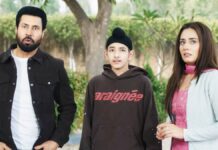 Carry On Jatta 4 Box Office Day 8: Gippy Grewal & Sargun Mehta Starrer Is Now The Highest-Grossing Punjabi Film Of 2026 Carry On Jatta 4 Box Office Day 8