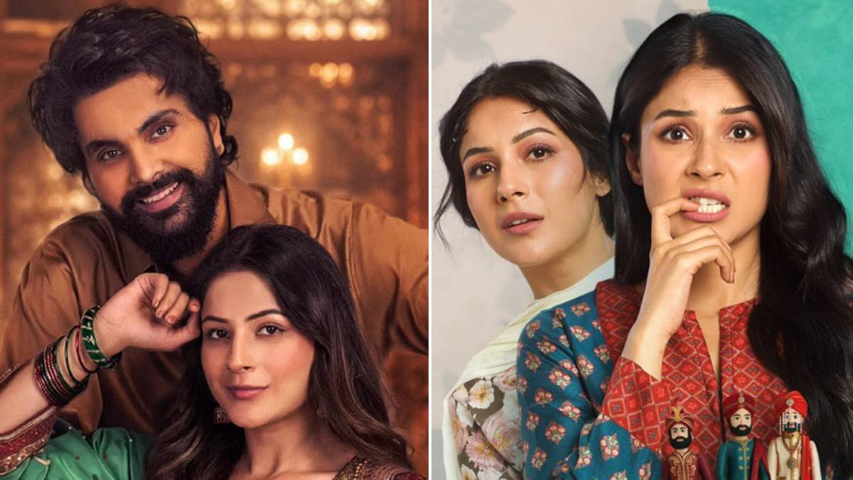 Earns 464% Higher Than Shehnaaz Gill’s Ikk Kudi, But Is It Enough?