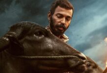 Karavali Box Office Collection Day 7: How Does Raj B Shetty’s Film Rank After Opening Week?