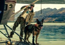Heart of the Beast Worldwide Box Office: Crushes The Dog Stars’ Entire Global Run In Its Opening Weekend! Heart of the Beast Worldwide Box Office: Beats The Dog Stars' Global Haul