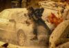 Resident Evil North America Box Office: All Set To Take The Franchise Past The $300M Milestone Resident Evil North America Box Office: Set To Push The Franchise Past A Major Milestone