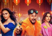 Vibe Day Wise Box Office Collection Vibe Day Wise Box Office Collection