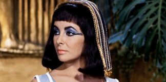 Cleopatra Box Office