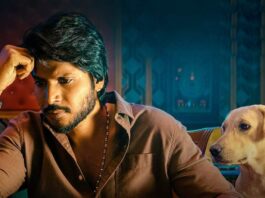 Sigma Box Office Collection Day 2: Only 15% Budget Recovery – Things Look Tough For Vijay’s Son Jason Sanjay’s Film! Sigma Box Office Collection Day 2: Only 15% Budget Recovery