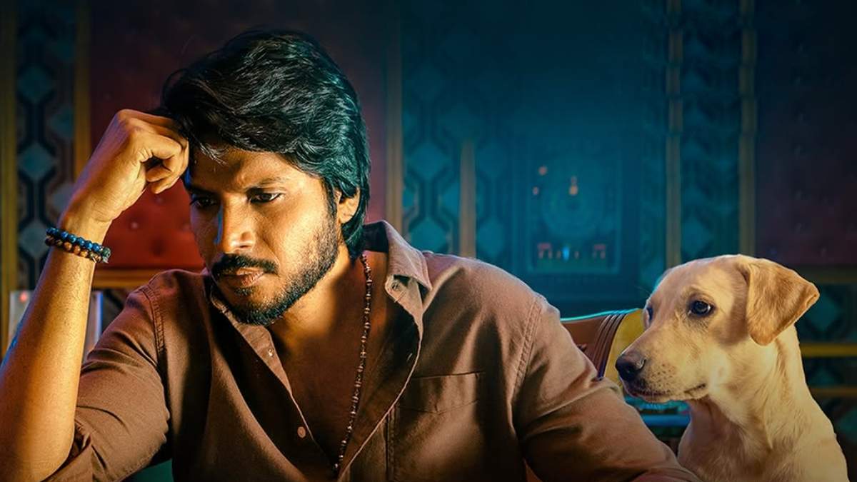 Sigma Box Office Collection Day 2: Only 15% Budget Recovery