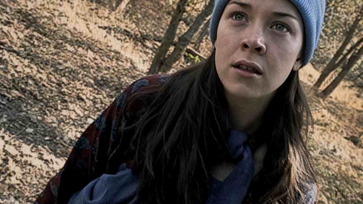 The Blair Witch Project Box Office